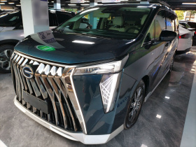 广汽传祺 传祺E9 2023款 E9 宗师