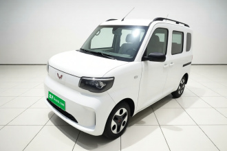 五菱汽车 五菱之光新能源 2025款 305km 进取型