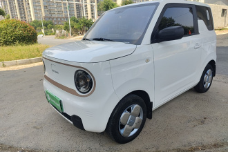 吉利银河 2024款 熊猫mini 200km 耐力熊