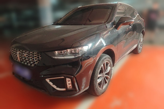 魏牌 VV5 2020款 1.5T 两驱智先锋