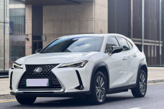 雷克萨斯UX新能源 2020款 300e 纯·悦版
