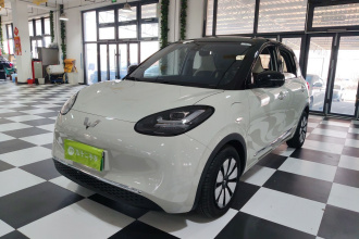 五菱汽车 五菱缤果 2023款 333km 灵犀互联+款