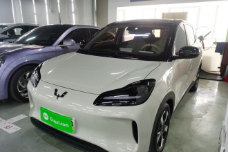 五菱汽车 五菱缤果PLUS 2024款 510km 五座版