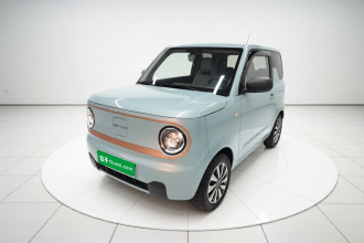吉利银河 2024款 熊猫mini 200km 耐力熊