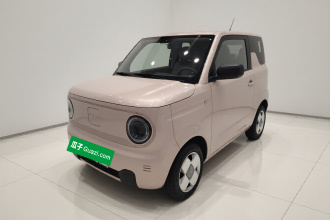 吉利银河 2024款 熊猫mini 200km 耐力熊