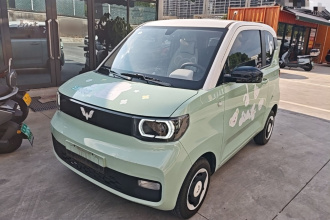 五菱汽车 宏光MINIEV 2021款 马卡龙时尚款 磷酸铁锂