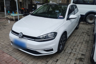 大众 高尔夫 2019款 280TSI DSG豪华型 国V