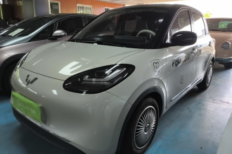 五菱汽车 五菱缤果 2024款 333km 悦享款