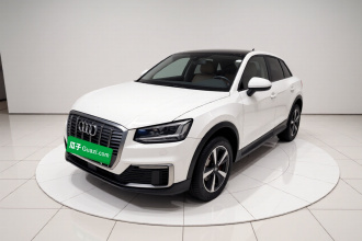 奥迪Q2L e-tron 2019款 Q2L e-tron 纯电智享型