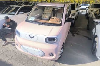五菱汽车 宏光MINIEV 2024款 第三代 215km 青春版