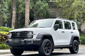 坦克300 2024款 2.0T 征服者