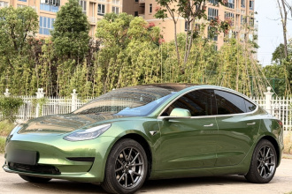 特斯拉 Model 3 2019款 标准续航后驱升级版