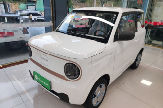 吉利银河 2024款 熊猫mini 200km 耐力熊