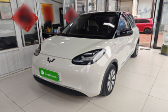 五菱汽车 五菱缤果 2023款 333km 悦享+款