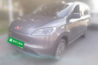 五菱汽车 五菱宏光新能源 2024款 纯电版 300KM 实用型
