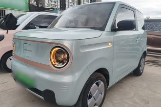 吉利银河 2024款 熊猫mini 200km 耐力熊