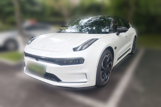 极氪001 2023款 WE版 100kWh