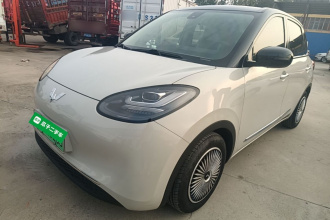 五菱汽车 五菱缤果 2023款 203km 舒享款