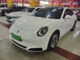 欧拉闪电猫 2022款 555km 尊贵版