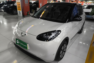 五菱汽车 五菱缤果 2024款 333km 悦享款