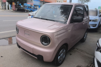 吉利银河 2024款 熊猫mini 200km 耐力熊