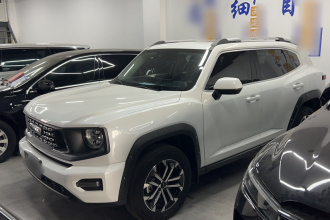 哈弗大狗 PLUS 2023款 2.0T 两驱潮野版Plus