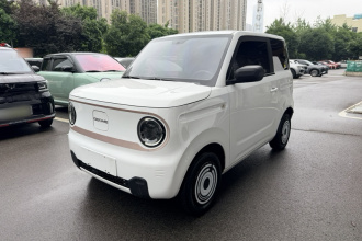 吉利银河 2023款 熊猫mini 200km 耐力熊