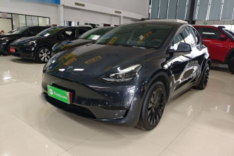 特斯拉 Model Y 2024款 后轮驱动版