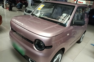 吉利银河 2025款 熊猫mini 210km 元气熊
