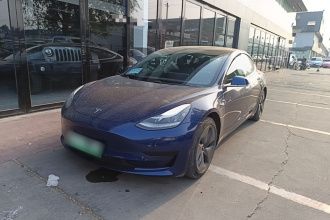 特斯拉 Model 3 2020款 标准续航后驱升级版