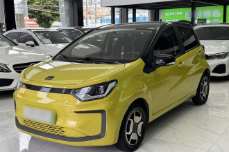 思皓 花仙子 2021款 302km 豪华型 31.4kWh
