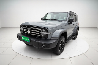 坦克300 2021款 城市版 2.0T 很有型