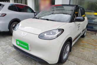 五菱汽车 五菱缤果 2023款 333km 快享款