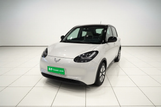 五菱汽车 五菱缤果 2024款 333km 悦享款