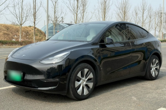 特斯拉 Model Y 2021款 标准续航后驱版