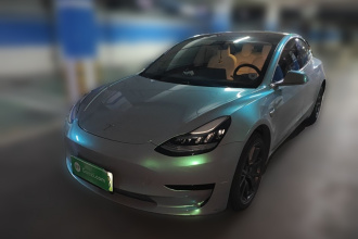 特斯拉 Model 3 2019款 标准续航后驱升级版