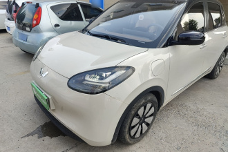 五菱汽车 五菱缤果 2023款 333km 灵犀互联+款
