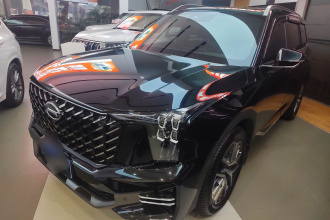 广汽传祺 传祺GS8 2022款 领航系列 2.0TGDI 两驱豪华智联版（七座）