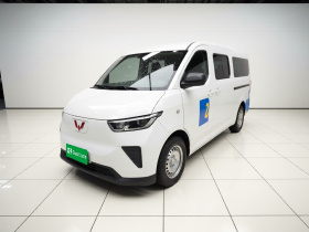 五菱汽车 五菱扬光 2024款 300km 舒适型客车版 75kW