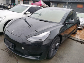 特斯拉 Model 3 2021款 标准续航后驱升级版 3D6