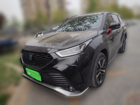 丰田 皇冠陆放 2023款 2.5L HEV四驱旗舰版