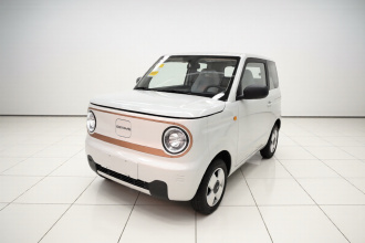 吉利银河 2024款 熊猫mini 200km 耐力熊