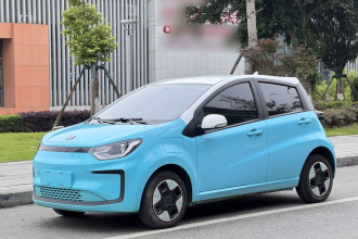 思皓 2022款 花仙子款 四叶草