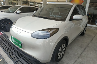 五菱汽车 五菱缤果 2024款 333km 悦享款