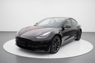特斯拉 Model 3 2021款 Performance高性能全轮驱动版 3D6