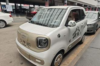 奔腾小马 2024款 170km 活力马