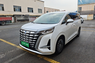 腾势D9 2024款 DM-i 1050 尊享型