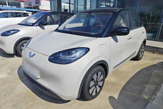 五菱汽车 五菱缤果 2025款 333km 悦享款