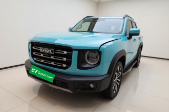 哈弗大狗 2021款 1.5T DCT两驱马犬版