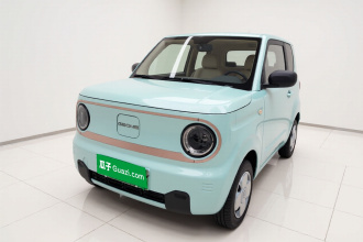 吉利银河 2024款 熊猫mini 200km 耐力熊